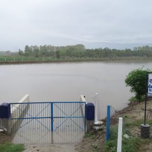 DCIM100MEDIADJI_0153.JPG