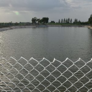 Mathura1