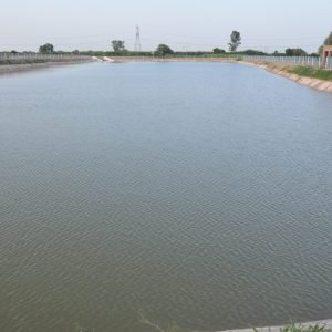 Mathura3