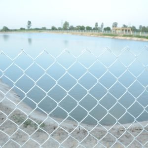 Mathura5