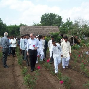 Wahegaon2-1024x768